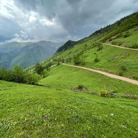 Camliyurt Dag Evi Hotel 4*