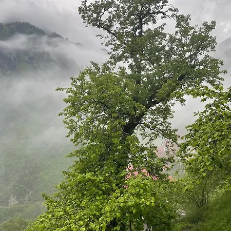 Camliyurt Dag Evi