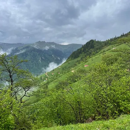 Camliyurt Dag Evi Hotel 4*
