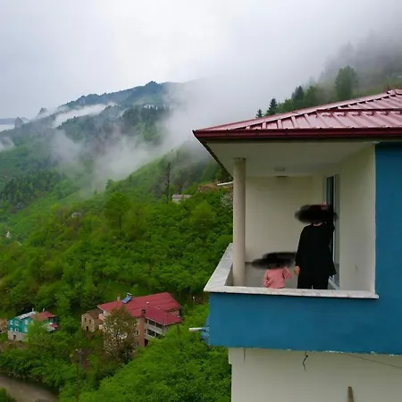 Camliyurt Dag Evi 4*