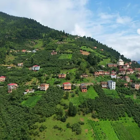 Camliyurt Dag Evi Trabzon