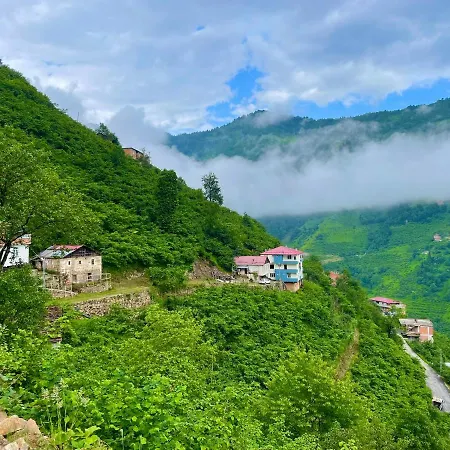 Camliyurt Dag Evi